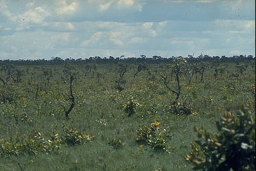 Emas National Park
